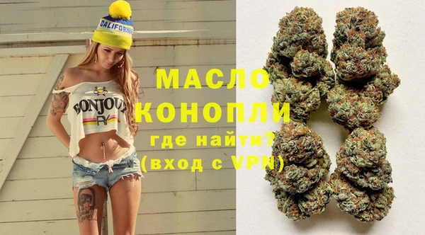 индика Ладушкин