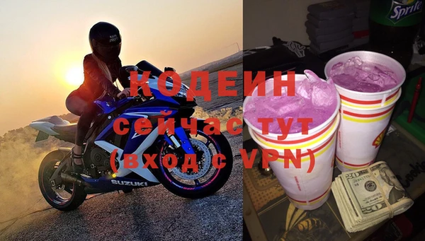 индика Ладушкин