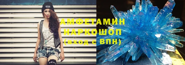 индика Ладушкин
