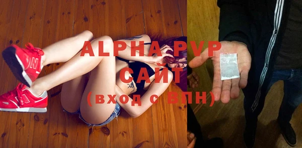 индика Ладушкин